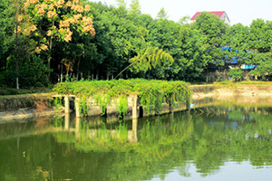 午夜福利视频合集园湖光美景