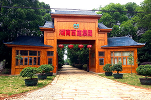 湖南午夜福利视频合集集团