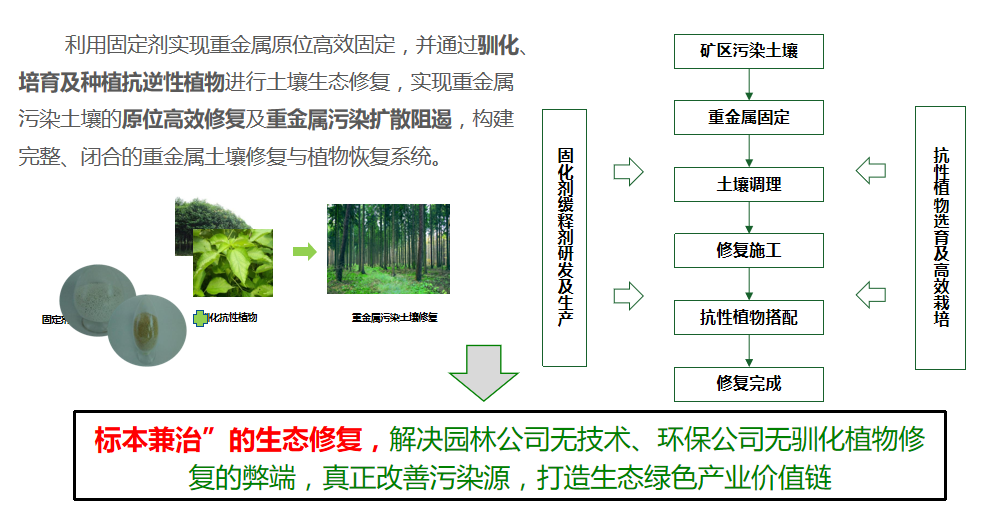 午夜福利AV免费观看方案优势
