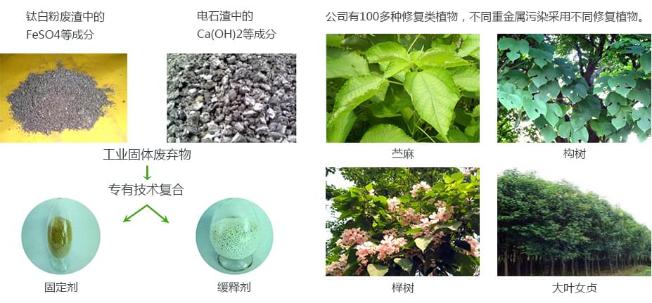 重金属污染土壤午夜福利AV免费观看项目产品