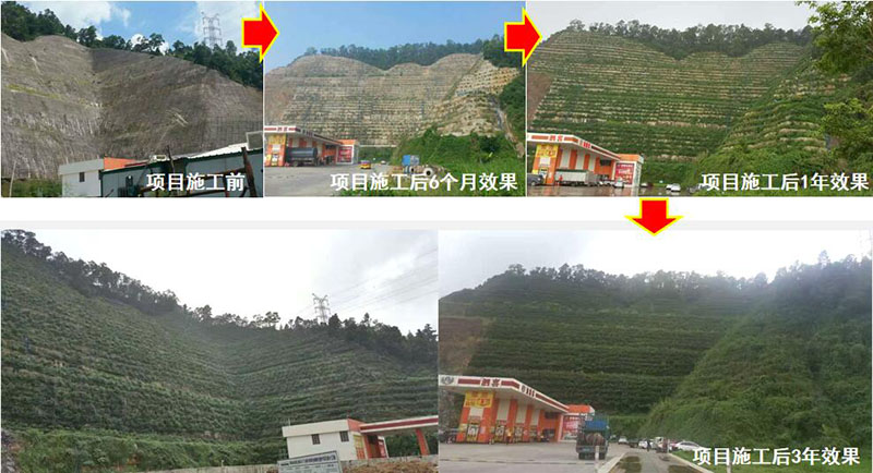 珠海市斗门区山体边坡生态午夜福利AV免费观看