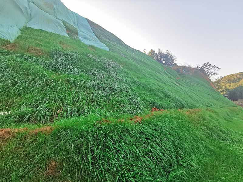 常德市鼎城区石板滩镇石煤矿区伍房石煤矿（防治I区）生态环境午夜福利AV免费观看工程