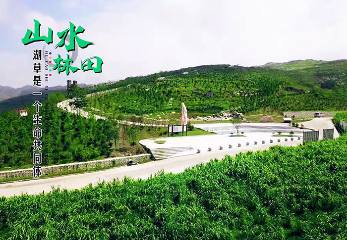 湖南省娄底市冷水江锑煤矿区山水林田湖草生态保护午夜福利AV免费观看项目