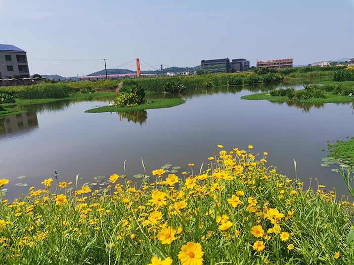 衡阳县蒸水流域山水林田湖草生态保护午夜福利AV免费观看工程试点项目