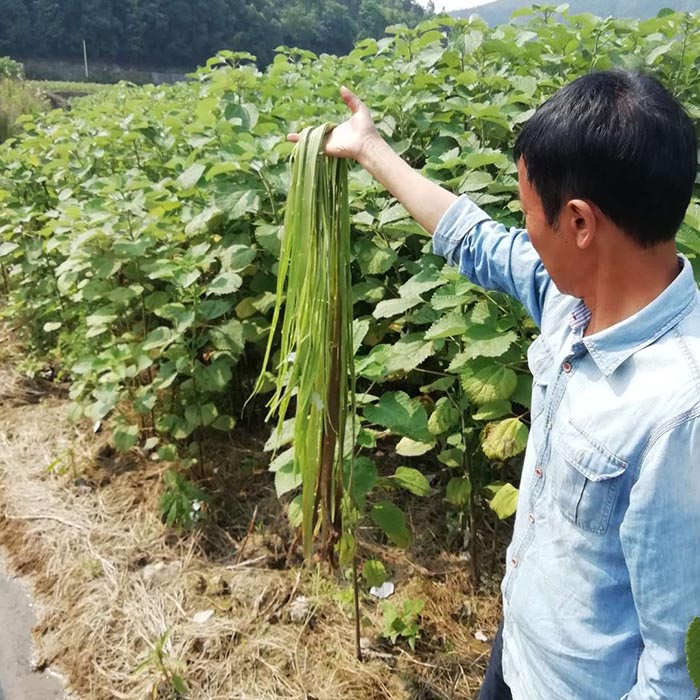 贵州省铜仁市生态午夜福利AV免费观看与精准扶贫示范区