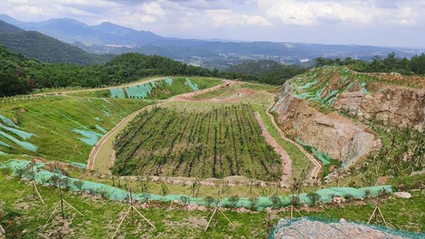 新邵县三郎庙铅锌锑矿和鸿发采石场综合治理与生态午夜福利AV免费观看工程项目（EPC）总承包