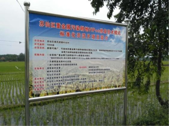 湖南省郴州市苏仙区千亩农田镉污染午夜福利AV免费观看项目