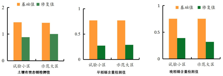 湖南省郴州市苏仙区千亩农田镉污染午夜福利AV免费观看项目