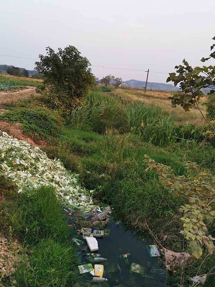 衡阳县蒸水流域山水林田湖草生态保护午夜福利AV免费观看工程试点项目
