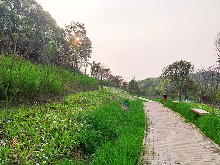 衡阳市常宁水口山铅锌煤矿区山水林田湖草生态保护午夜福利AV免费观看试点工程