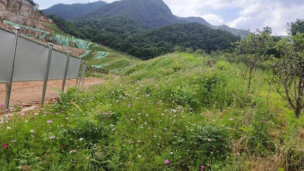 新邵县三郎庙铅锌锑矿和鸿发采石场综合治理与生态午夜福利AV免费观看工程项目（EPC）总承包